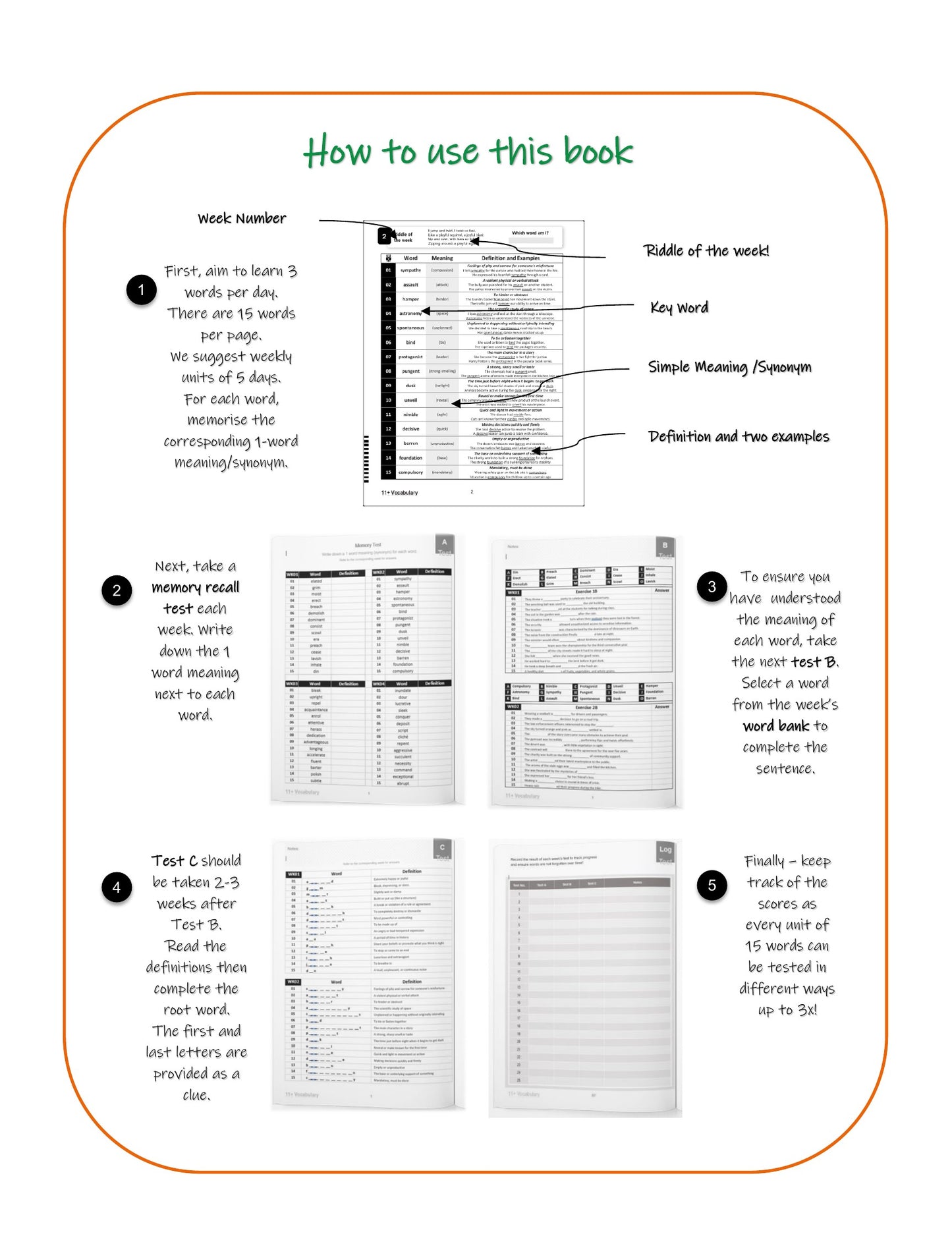 My Weekly 11+ Vocabulary: Book 1 (Ages 9-10)