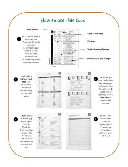 My Weekly 11+ Vocabulary: Book 1 (Ages 9-10)